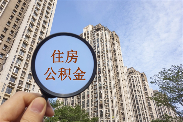 哈尔滨离职多久可以取住房公积金（离职多久后能取公积金）